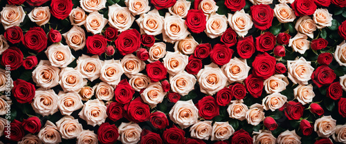 vibrant red and cream roses...