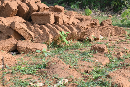 Raw clay bricks have soaked in water.
Sun dried mud bricks, ruined by getting soaked in rain water. Bricks production.