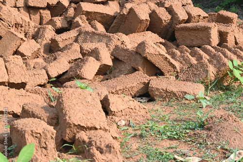 Raw clay bricks have soaked in water.
Sun dried mud bricks, ruined by getting soaked in rain water. Bricks production.