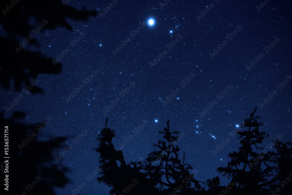 Fototapeta premium Milky Way stars and rural countryside tree silhouettes