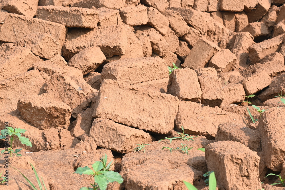 Fototapeta premium Raw clay bricks have soaked in water. Sun dried mud bricks, ruined by getting soaked in rain water. Bricks production.