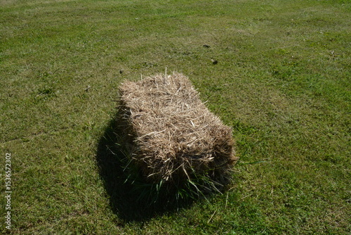 Single rectangular hay bale lying on a green grass field under bright sunlight. photo
