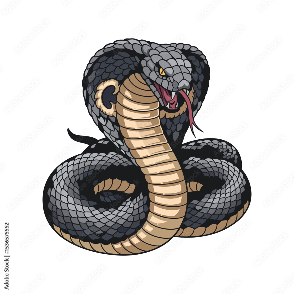 Fototapeta premium Vector illustration of a cobra on a white background