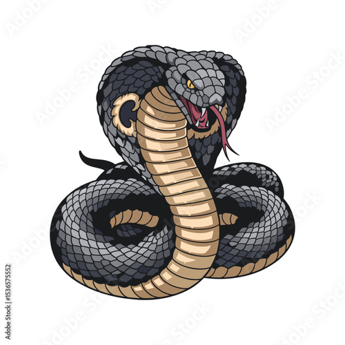 Vector illustration of a cobra on a white background