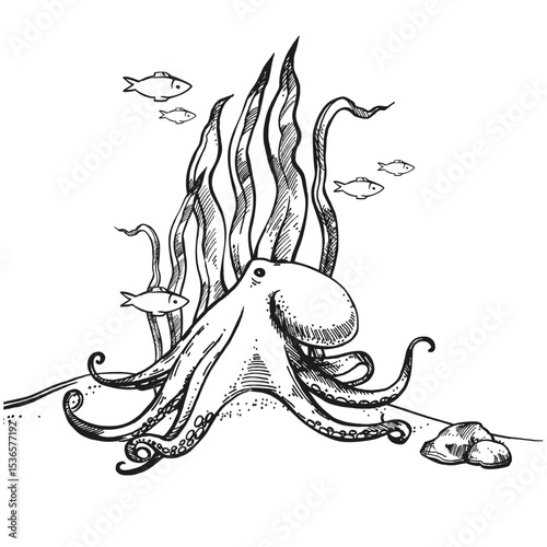 vector deep seafloor with algae, plants, branches and leaves, tropical fish, starfish, octopus on sand under sea, ocean, black and white illustration of under sea wildlife, composition for marine