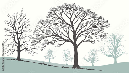 Bare trees on a winter hillside landscape
