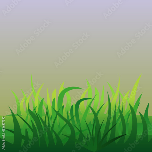 green grass vector illustration