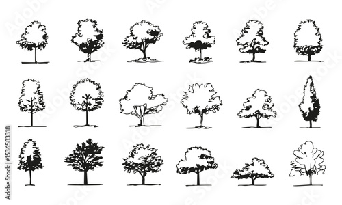 Black and White Tree Silhouettes Set. Landscape Architecture and Design Resources Collection. Versatile and Artistic Botanical Elements. Isolated Vector Illustration