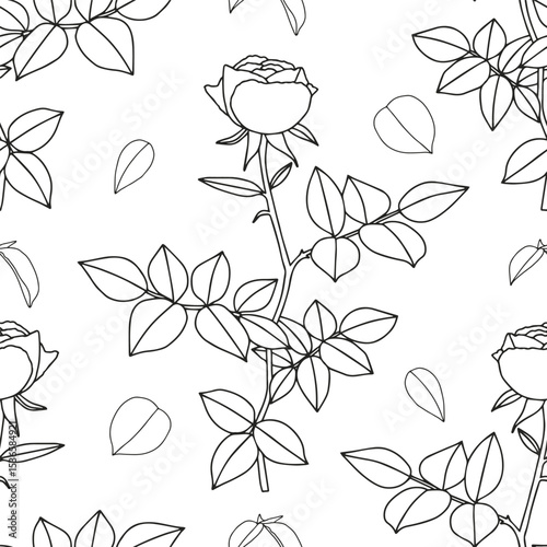 Rose branch with leaves. Coloring page for adults and children.