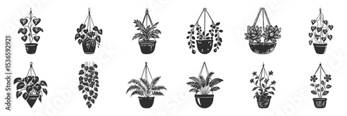 Hanging Houseplants Silhouette Set. Indoor Plant Decor And Greenery Design Elements Isolated Vector Illustration Collection