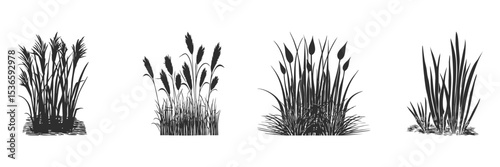 Silhouette Of Aquatic Plants And Reeds Set. Nature And Wetland Vegetation Isolated Vector Illustration Collection