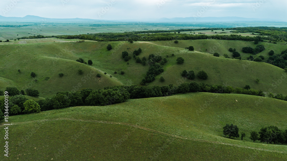 Obraz premium Drone view of rolling green hills in Zagajicka brda in spring season, with scattered trees and a winding valley path through untouched spring landscape in Vojvodina, Serbia