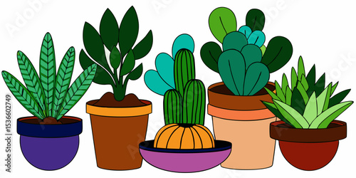 Green potted cactus plants, ideal for home decoration or desert garden themes