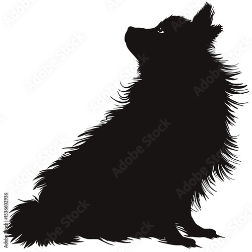 silhouette of fluffy dog on a white background