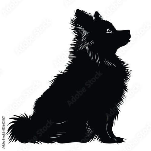 silhouette of fluffy dog on a white background