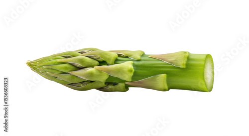 Fresh green asparagus spear with tightly closed tip and cut stem end