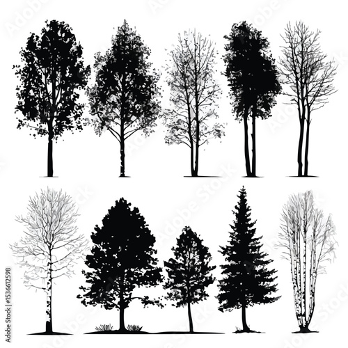 aspen tree silhouette set, Black & White silhouette set