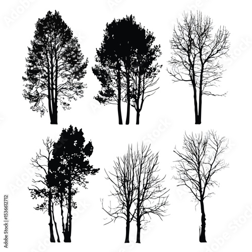 aspen tree silhouette set, Black & White silhouette set