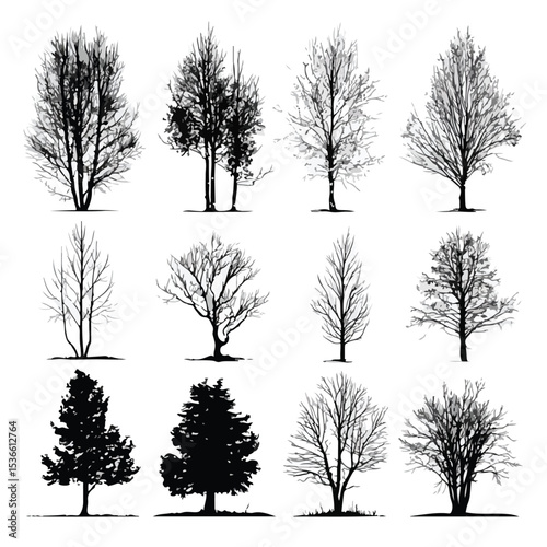 aspen tree silhouette set, Black & White silhouette set