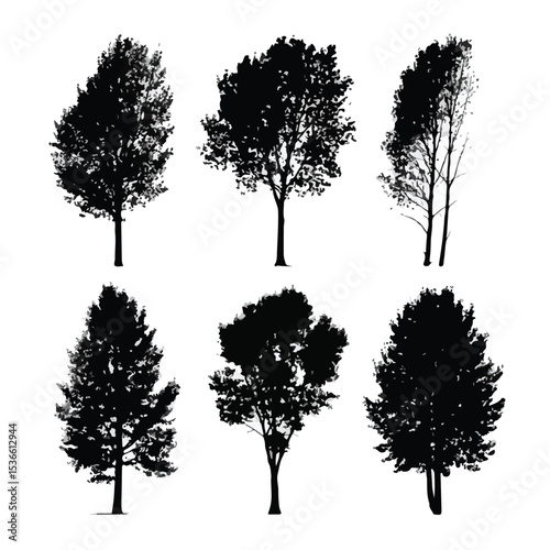 aspen tree silhouette set, Black & White silhouette set