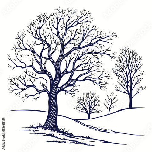 Winter Tree Silhouettes Collection Set of Isolated Illustrations
