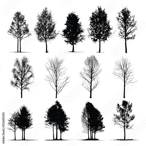 aspen tree silhouette set, Black & White silhouette set