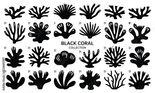 Black coral collection 24 silhouette illustrations