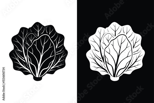 Fresh Collard Greens Vector. Large Leaf Salad Icon for Healthy Organic Food Designs