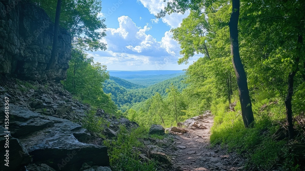 Fototapeta premium A scenic view of a trail through forested mountains and skies