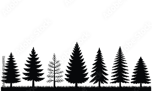 Silhouette of seven pine trees in a row