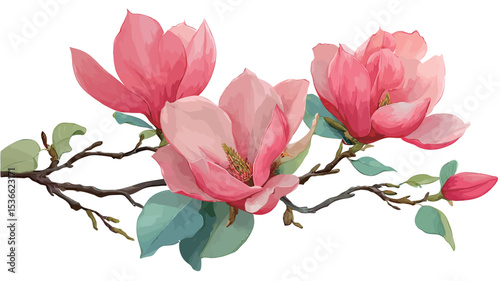 A digital illustration or painting depicts a branch of a magnolia tree featuring three large, open pink magnolia blossoms. The blossoms exhibit a gradient of light and dark pink hues. 