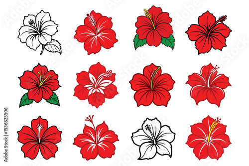 Set of hibiscus flower vector illustration on white background.