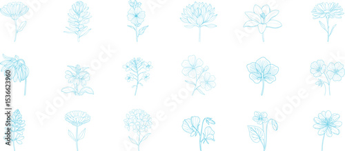 Light Blue Floral Line Art Collection – Soft Hand-Drawn Botanical Flower Illustrations for Elegant Designs, Feminine  Wedding Themes, Branding, and Nature-Inspired Clipart Sets