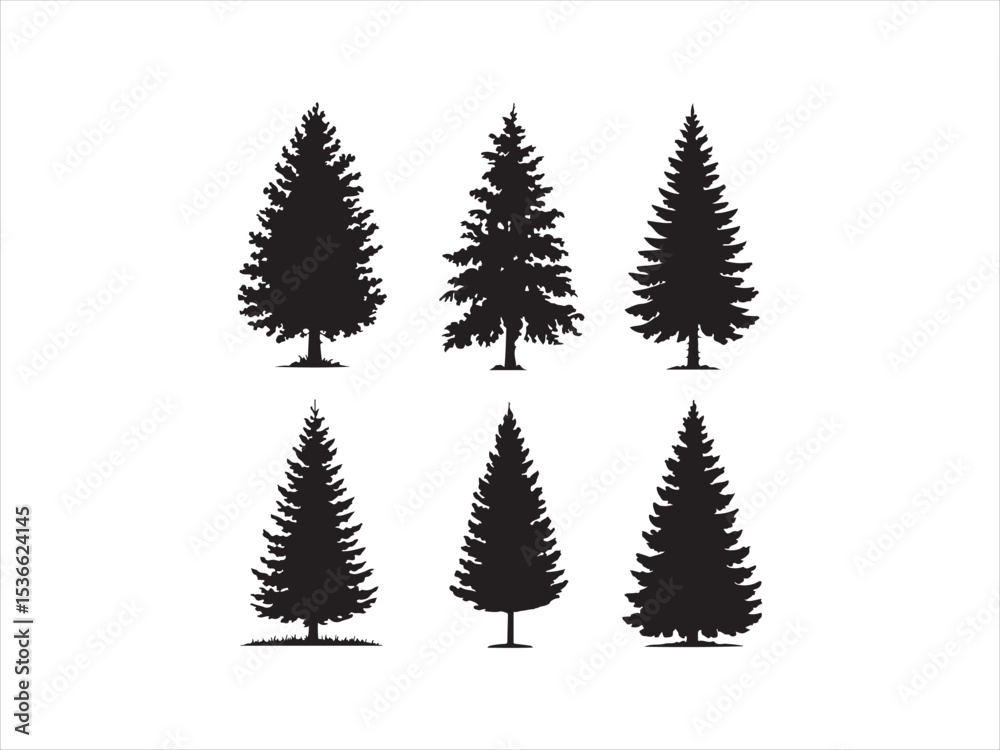 Obraz premium Six evergreen tree silhouettes for design
