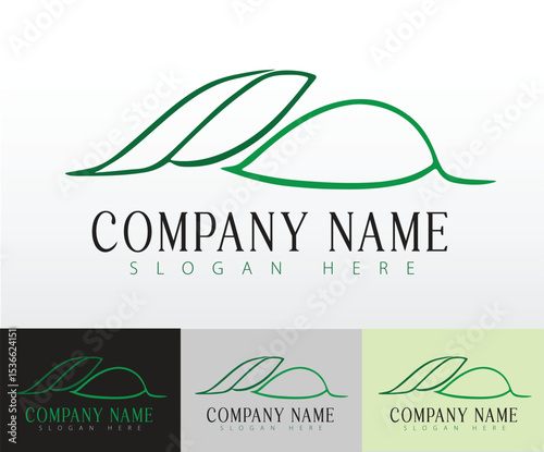 A logo design inspired by organic natural and fresh food elements