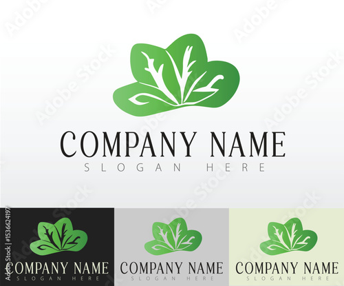 A green and earthy logo symbolizing healthy and natural food