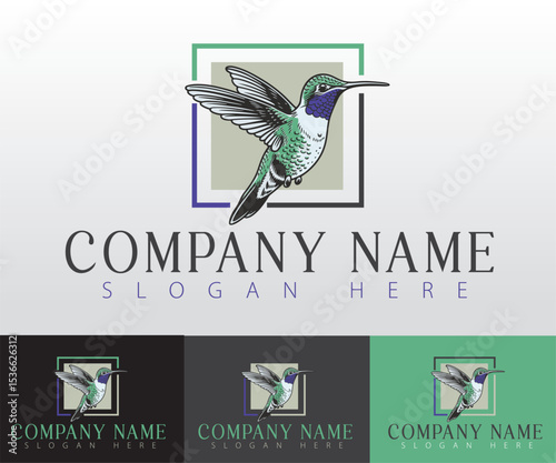A visually striking logo concept showcasing a colorful hummingbird.