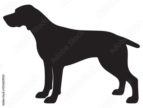 POINTER DOG SILHOUETTE