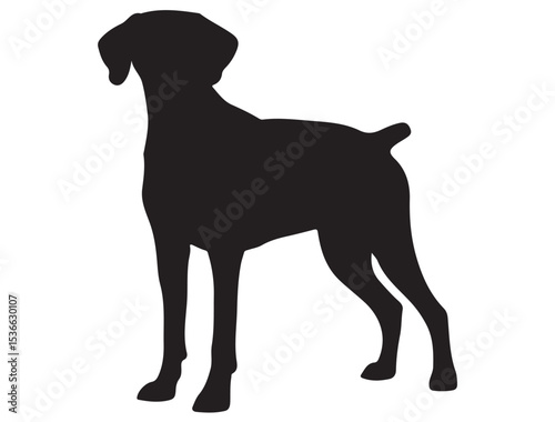 POINTER DOG SILHOUETTE