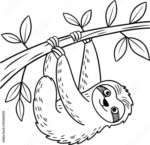A Cute Sloth Hanging from a Tree Branch