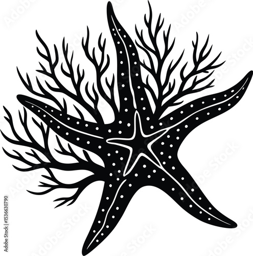 A starfish silhouette on white background