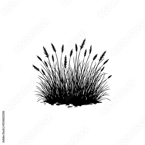 Elegant black and white illustration of a tuft of grass in silhouette form