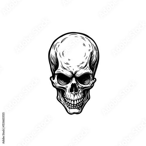 Monochrome skull illustration with intricate details ideal for dark themes or halloween