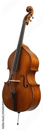 A wooden double bass with a polished finish and classic string arrangement on transparent background.
