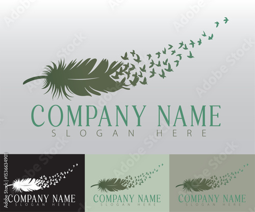 A feather logo design captures grace and sophistication, perfect for branding purposes.