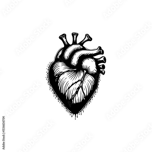 Realistic Anatomical Heart Tattoo Design Illustration Depicting Human Internal Organ