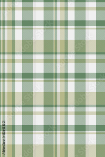 Ethnic textile pattern fabric, geometrical texture tartan plaid. Infinity vector check background seamless in pastel and white colors.