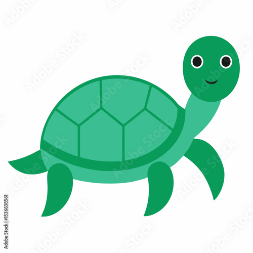 turtle vector illustration