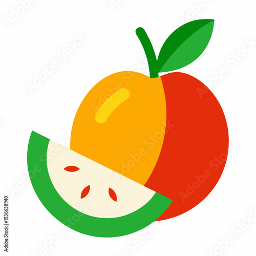 vector illustration of an orange fruit