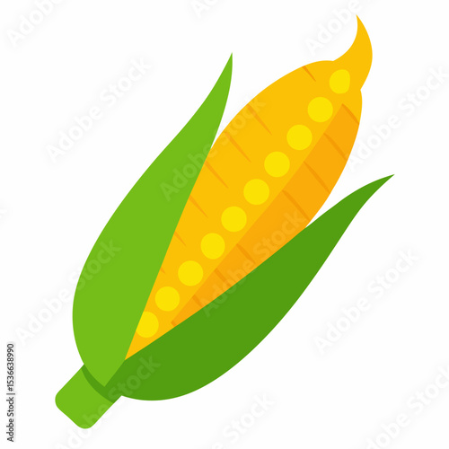 vector illustration of green corn